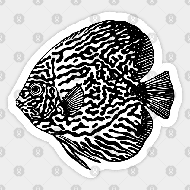 Discus Fish or Pompadour Fish Ink Art - animal drawing - black on white Sticker by Green Paladin